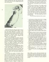Citation block thumbnail
